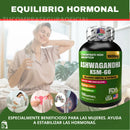 🌿 Ashwagandha KSM 66 + Guía de bienestar exclusiva – ¡Oferta por tiempo limitado!
