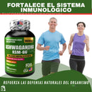 🌿 Ashwagandha KSM 66 + Guía de bienestar exclusiva – ¡Oferta por tiempo limitado!