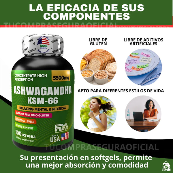 🌿 Ashwagandha KSM 66 + Guía de bienestar exclusiva – ¡Oferta por tiempo limitado!