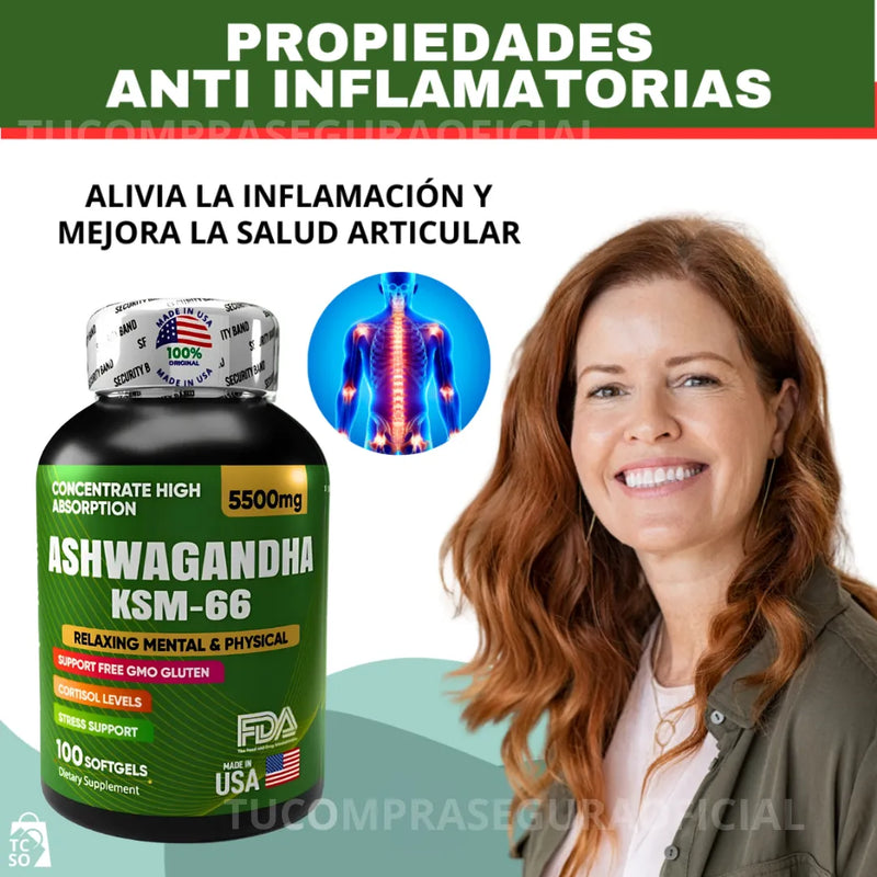 🌿 Ashwagandha KSM 66 + Guía de bienestar exclusiva – ¡Oferta por tiempo limitado!