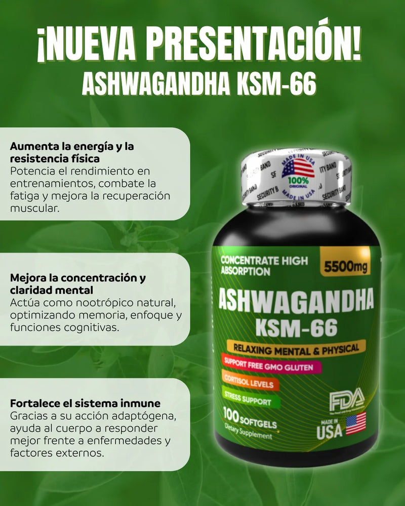 🌿 Ashwagandha KSM 66 + Guía de bienestar exclusiva – ¡Oferta por tiempo limitado!